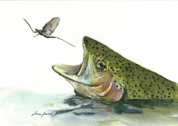 Trout Jumping for Insect Art Print