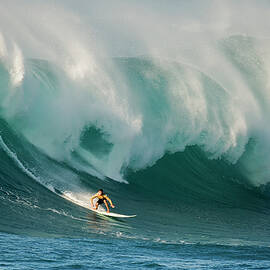 Untitled by David H Yang