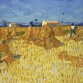 Corn Harvest In Provence by Vincent Van Gogh