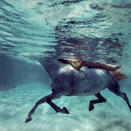 131016-8876 by Enric Gener