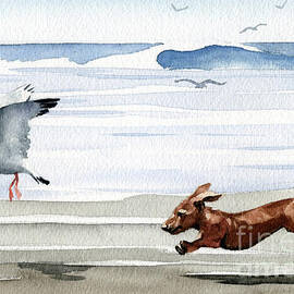 Dachshund at the Beach  by David Rogers