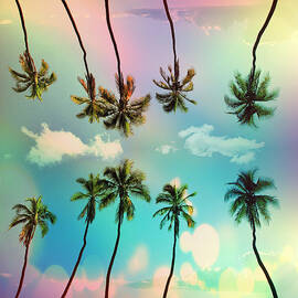 Florida by Mark Ashkenazi