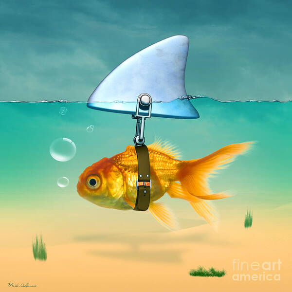 Goldfish with Shark Fin Art Print