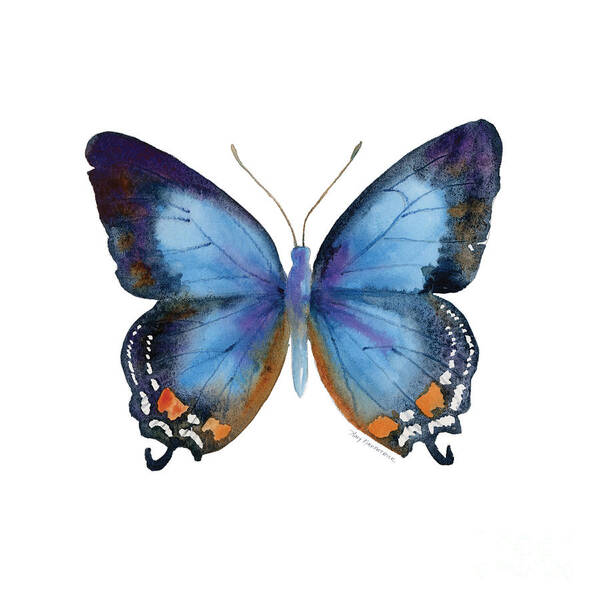 Imperial Blue Butterfly on White Poster
