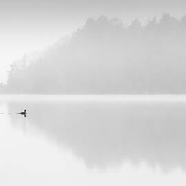 Alena by Benny Pettersson