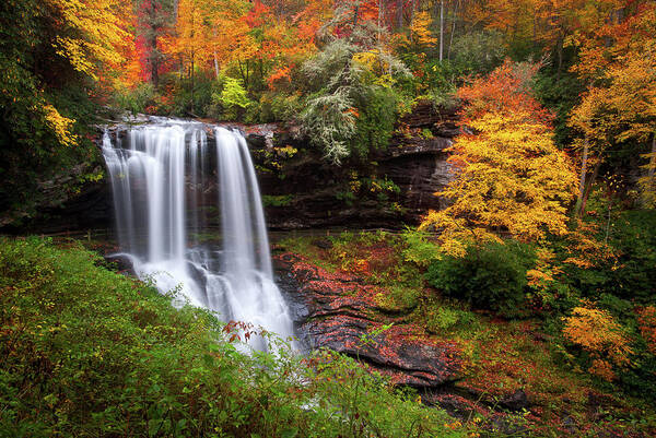 Autumn Waterfall amidst Vibrant Foliage Art Print