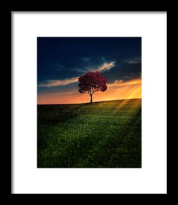 Sunset Framed Prints for Sale