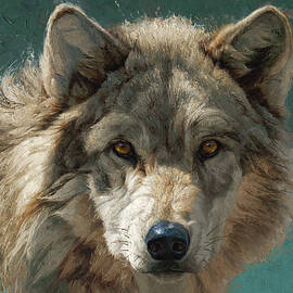 Beware The Stranger by Greg Beecham