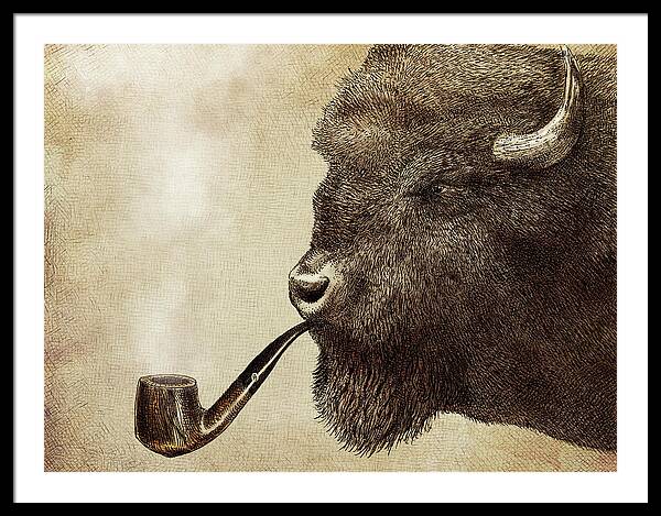 Bison Sporting a Pipe Framed Print