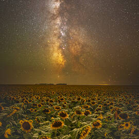 Billions of Suns  by Aaron J Groen