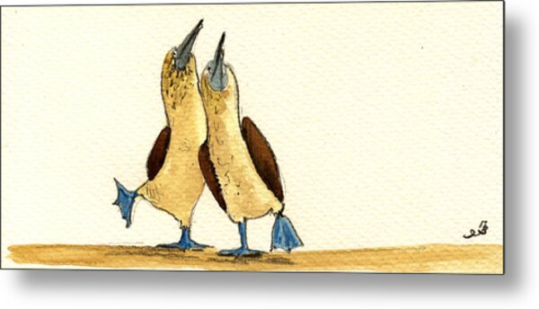 Dancing Blue-Footed Boobies Metal Print