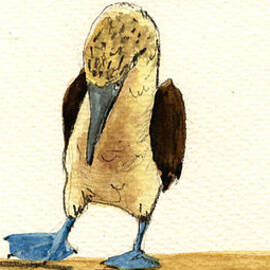 Blue footed booby by Juan  Bosco
