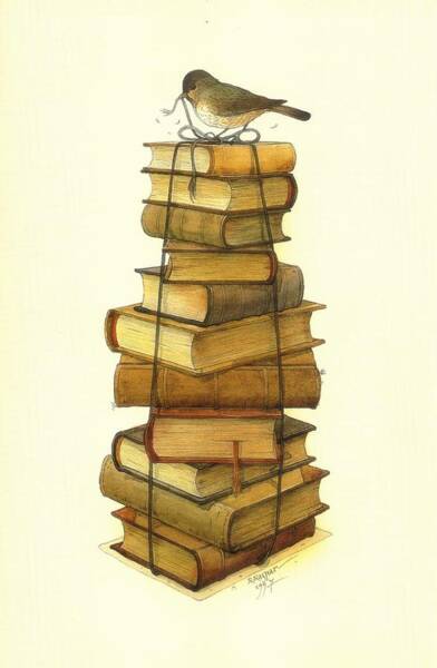 Bird on Stack of Books Poster