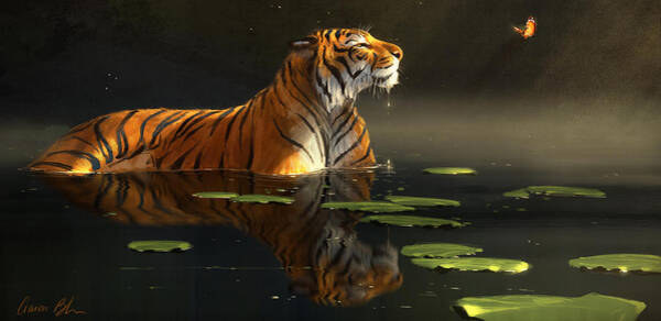 Tiger in a Serene Water Scene Art Print