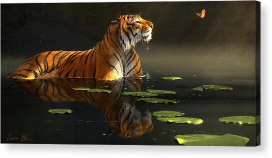 Tiger in a Serene Water Scene Acrylic Print