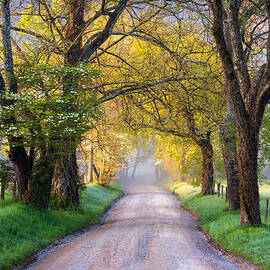 Cades Cove Great Smoky Mountains National Park - Sparks Lane by Dave Allen