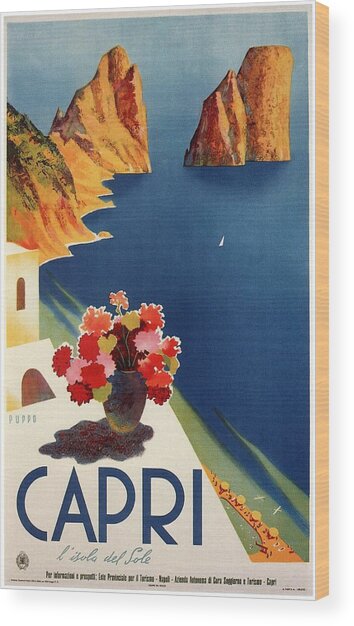 Scenic Capri Coastline with Flowers Wood Print