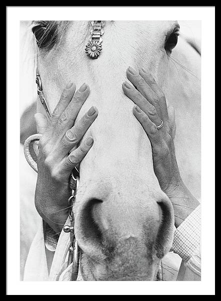 Hands Covering Horse's Face Framed Print