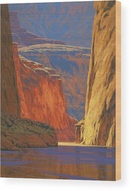 Sunlit Canyon Passage Wood Print