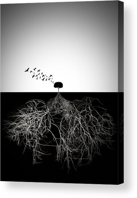 Tree with Expansive Roots and Birds Acrylic Print