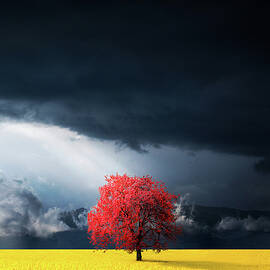 Dramatic Landscape by Bess Hamiti