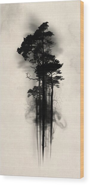 Ethereal Silhouette of Tall Trees Wood Print