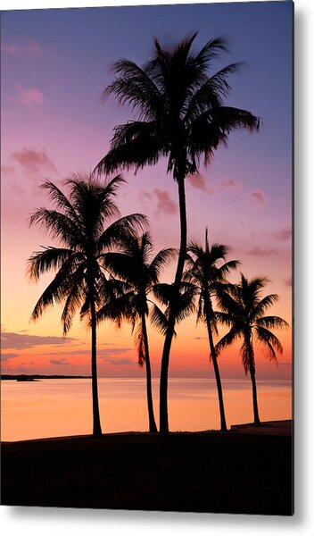 Sunset Silhouette of Palm Trees Metal Print