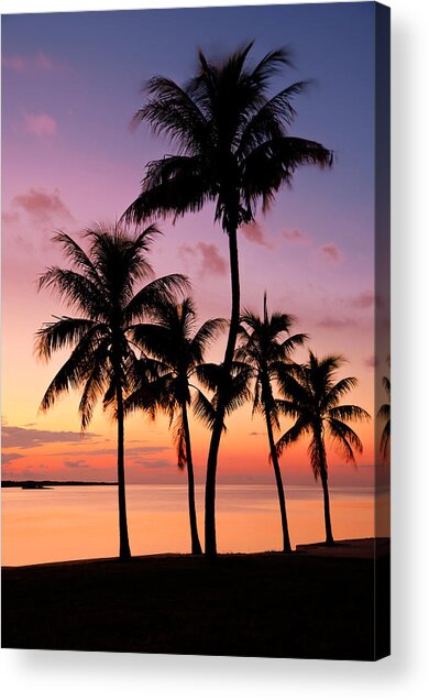 Sunset Silhouette of Palm Trees Acrylic Print
