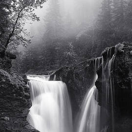Foggy Falls by Darren White