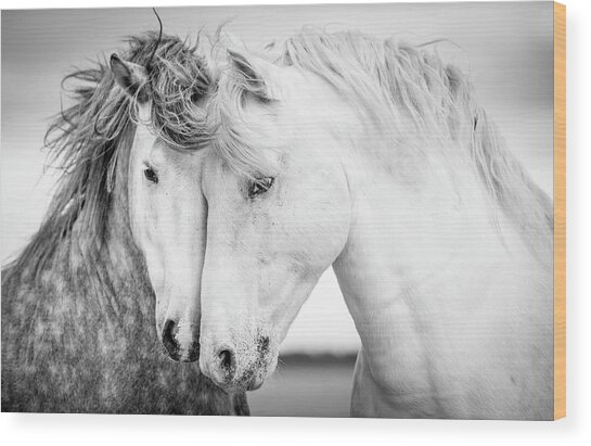 Graceful Horses in Motion Wood Print