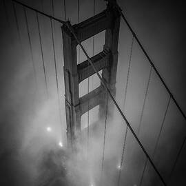 Golden Black by Toby Harriman