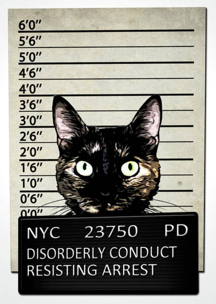 Cat Mugshot Lineup Poster