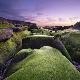 La Jolla Sunset by William Dunigan