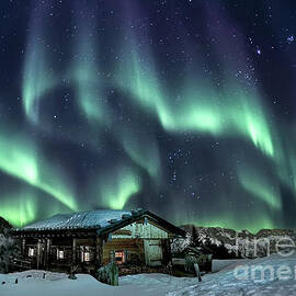 Light Through The Night by Evelina Kremsdorf