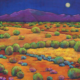 Midnight Sagebrush by JOHNATHAN HARRIS