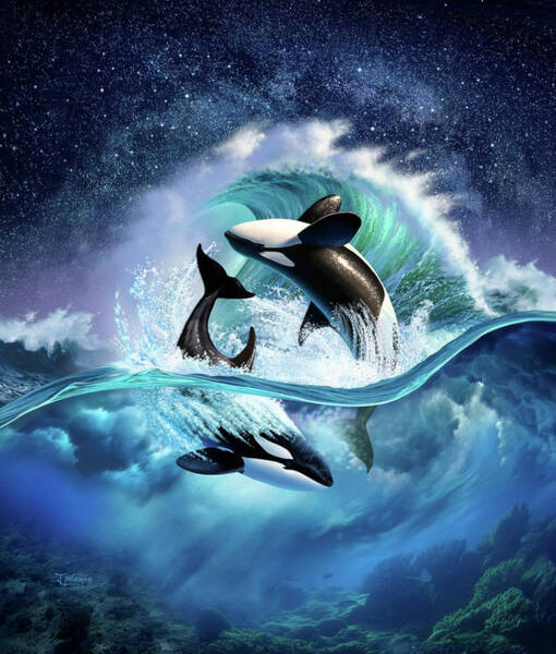 Orcas Leap Beneath a Starry Sky Poster
