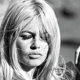 Photo Of Brigitte Bardot by Michael Ochs Archives