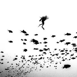 Pied Piper Of Hamelin by Charlie Jung