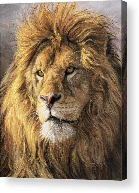 Majestic Lion Portrait Acrylic Print