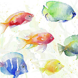 School Of Tropical Fish by Lanie Loreth