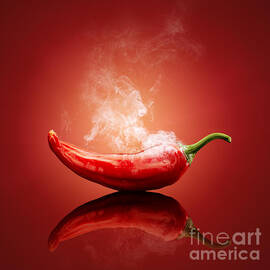 Steaming hot Chilli by Johan Swanepoel