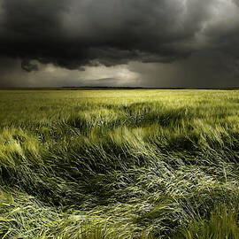 Summer Weather by Franz Schumacher