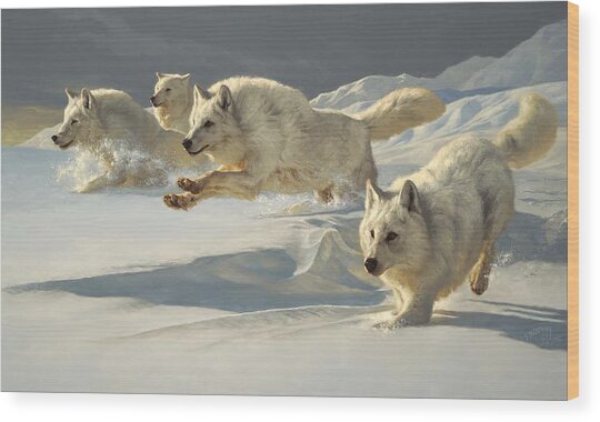 Arctic Wolves in Pursuit Wood Print