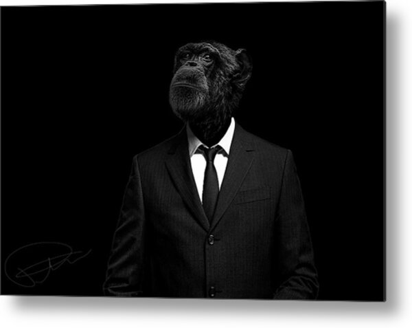 Ape in a Suit Metal Print