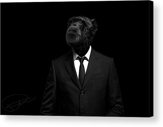 Ape in a Suit Acrylic Print