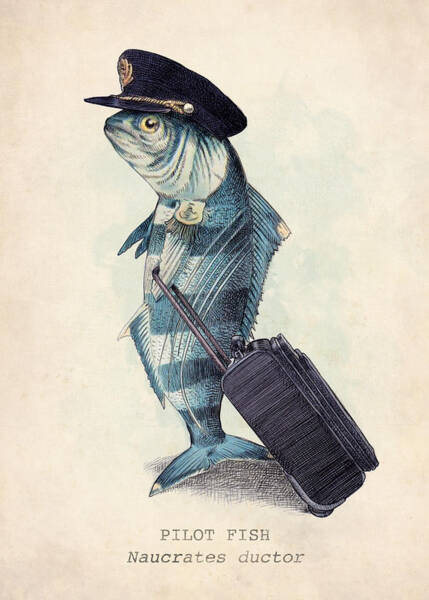 Fish in Pilot Uniform Poster