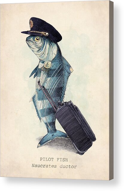 Fish in Pilot Uniform Acrylic Print