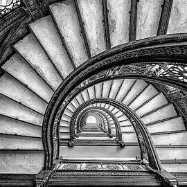 The Rookery by Yimei Sun