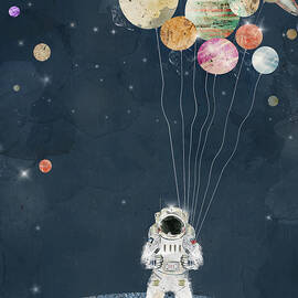 the solar collector by Bri Buckley