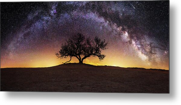 Lone Tree Under Starry Milky Way Metal Print